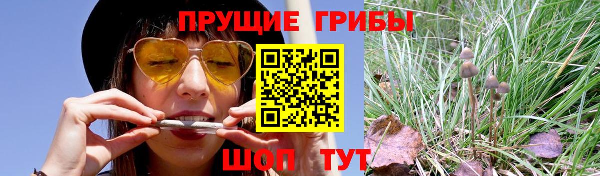 Галлюциногенные грибы MAGIC MUSHROOMS Балашов