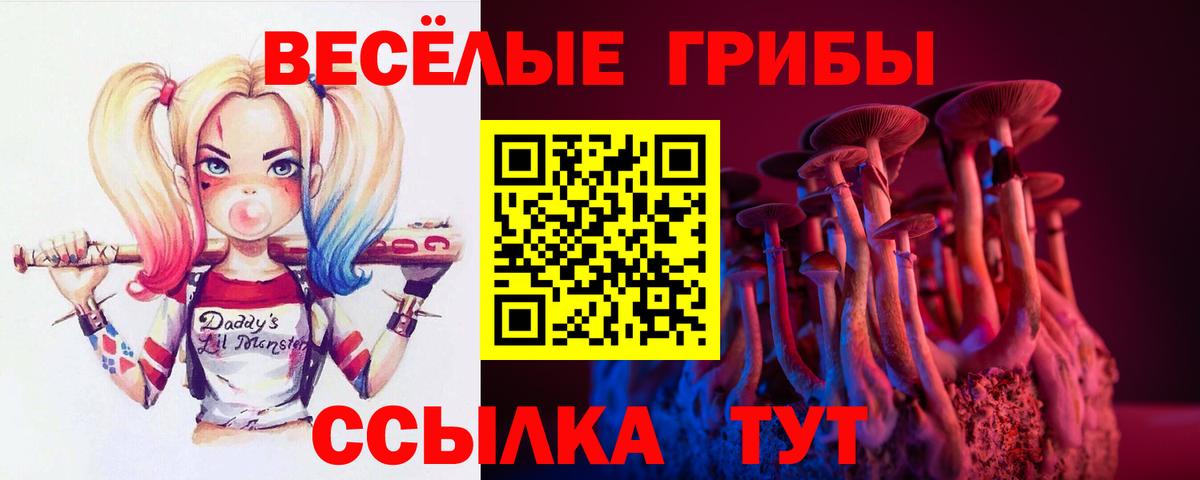 где можно купить наркотик  Псилоцибиновые грибы MAGIC MUSHROOMS  Вход с VPN  Балашов 